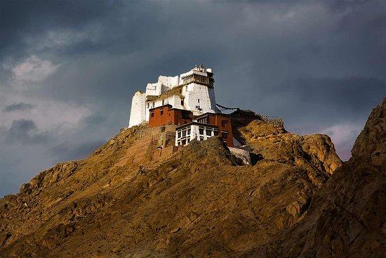  16. Namgyal Tsemo Monastery – Cultural Insight